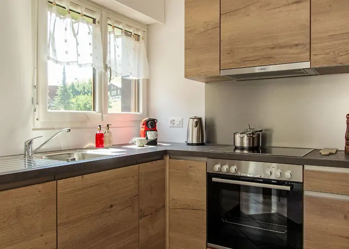 Bouleaux A1 By Interhome Apartmán