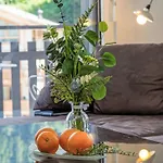 Bouleaux A1 By Interhome نينداز